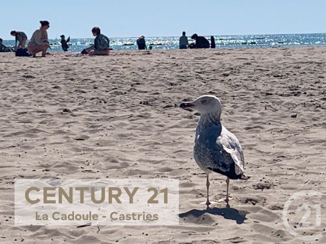 divers à vendre - 35.0 m2 - PALAVAS LES FLOTS - 34 - LANGUEDOC-ROUSSILLON - Century 21 La Cadoule